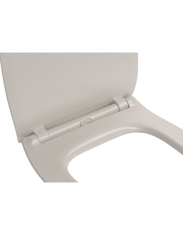 Assento Termofixo Slim com Slow Close Easy Clean Deca Axis Barbante AP.4162.26