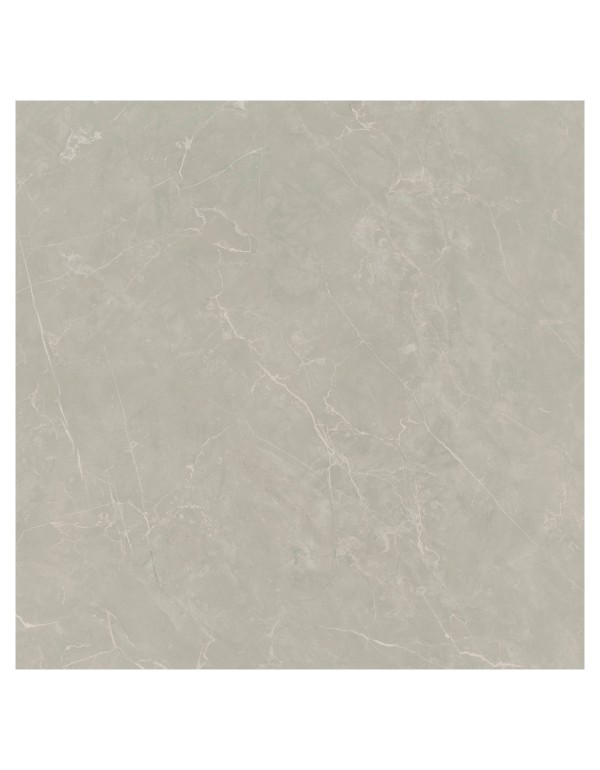 Porcelanato Portinari Alba SGR NAT Retificado 120x120 cm 6062721A