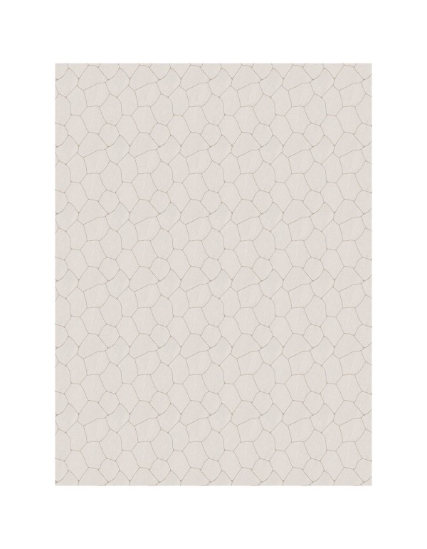 PORTINARI MC GALES ORGANIC SBE NAT 325X391 MM 6063015A