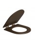Assento Poliester Slow Close Carrara/Link Marrom Fosco fixação Corten Matte Deca AP.237.CT.MT.22