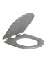 Assento Poliester Slow Close Cinza Fosco Link fixacao Red Gold Deca AP.237.GL.RD.86