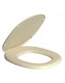 Assento Plastico Aspen Creme Deca AP.75.37