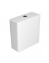 Caixa Acoplada Dual Flux (3 E 6L) Axis/Living/Piano/Polo/Quadra/Unic Deca Botao Black Matte CD.21F.BL.MT.17