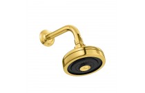 Chuveiro Deca Gold Acqua Plus Com Tubo Curvo 1990.GL.STD