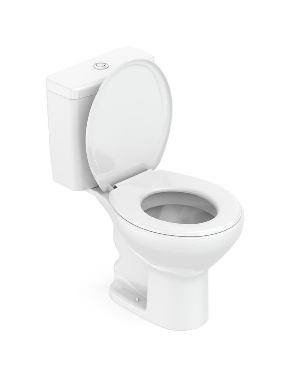 Kit De Bacia Com Caixa Acoplada Assento PP Queda amortecida Roca Flamingo Branco 1117230011100