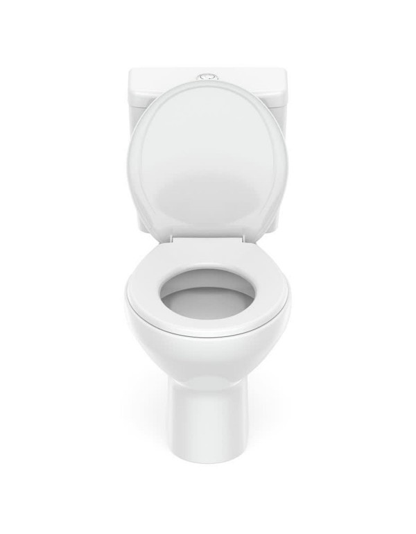 Kit De Bacia Com Caixa Acoplada Assento PP Queda amortecida Roca Flamingo Branco 1117230011100