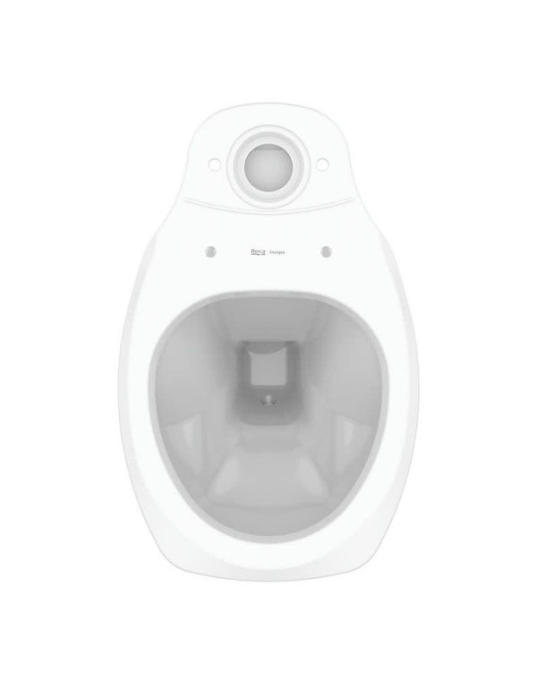 Bacia Para Caixa Acoplada Roca Thema Plus Branco 1253510010100