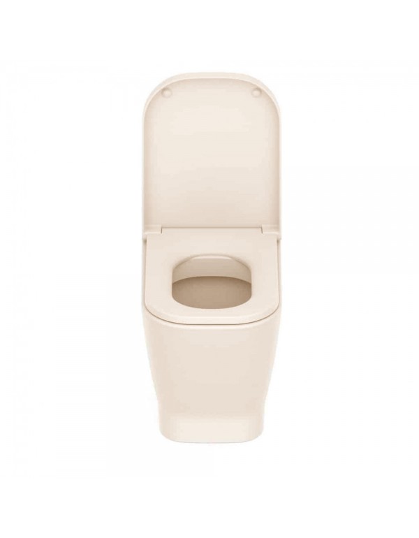 Kit De Bacia Convencional Assento Termofixo Queda Amortecida E Itens De Instalação Roca Gap Beige C323727011