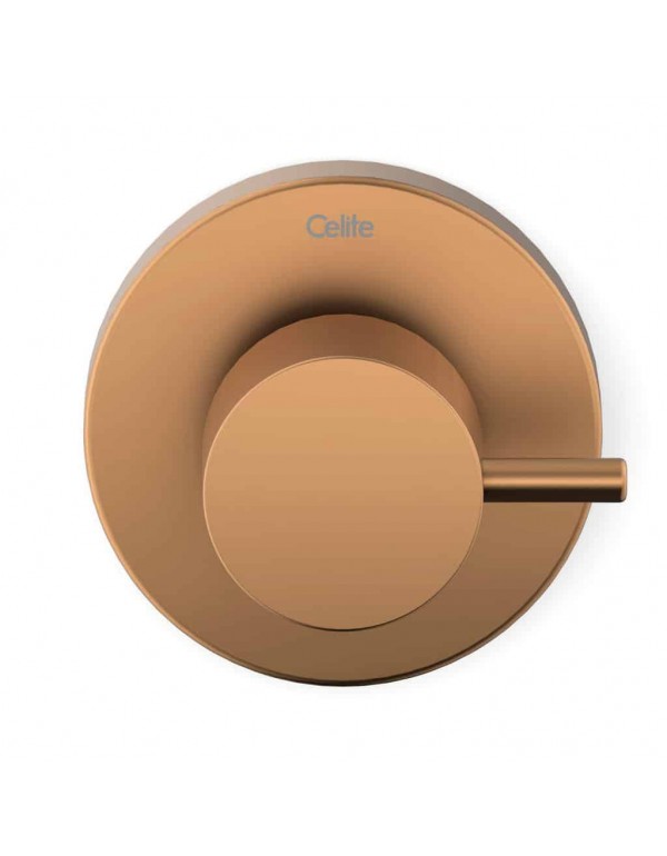 Acabamento De Registro Base Reforma 1/2, 3/4, 1 Celite Basic Rose Gold Matte B5041C7R2B